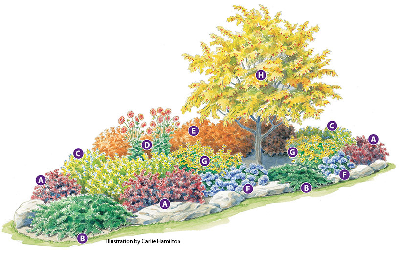 Fall garden bed plan lettered illustration by Carlie Hamilton:  Stone outcroppings interrupt the clean-cut edge of this kidney-shaped bed and help integrate the planting into the lawn.