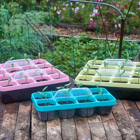 ZPT442 2 450x: Watch your seedlings progress through these unique transparent seed trays.