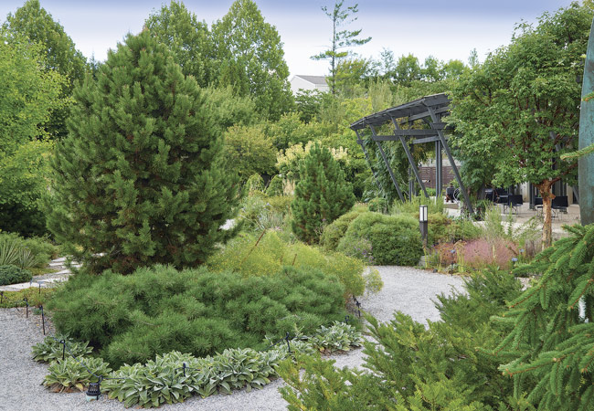 Dsm botanical conifer garden: The Dorothy & Max Rutledge Conifer Garden is a great spot to find out how an out-of-the-ordinary conifer might look in the yard.