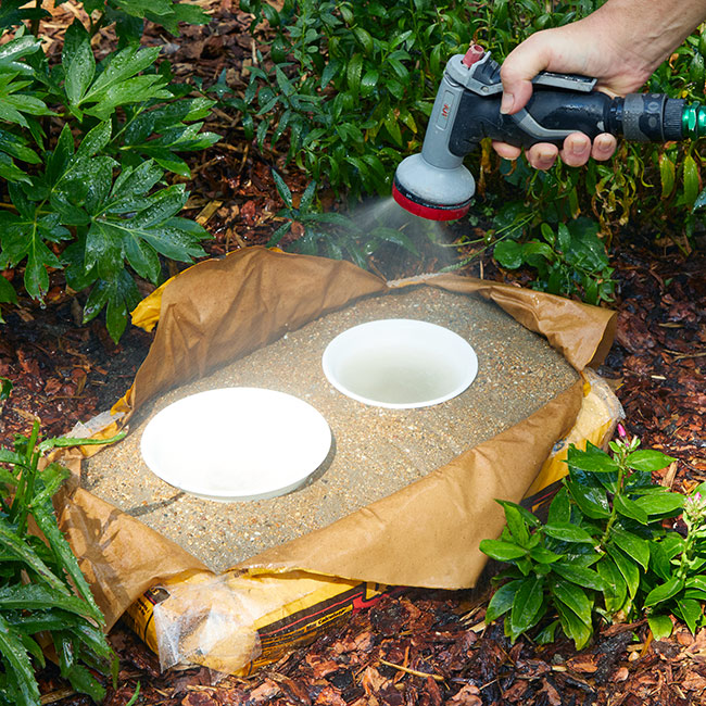 diy-butterfly-puddler-misting: To wet the concrete, mist lightly and evenly around the bowls. 
