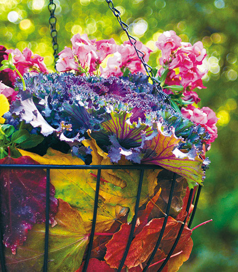 Colorful fall leaves lining a wire hanging basket: Put those fall leaves to use and line your wire baskets with them!