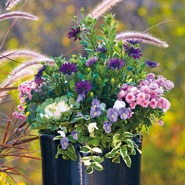 fall-container-ideas-cool-color-pallete