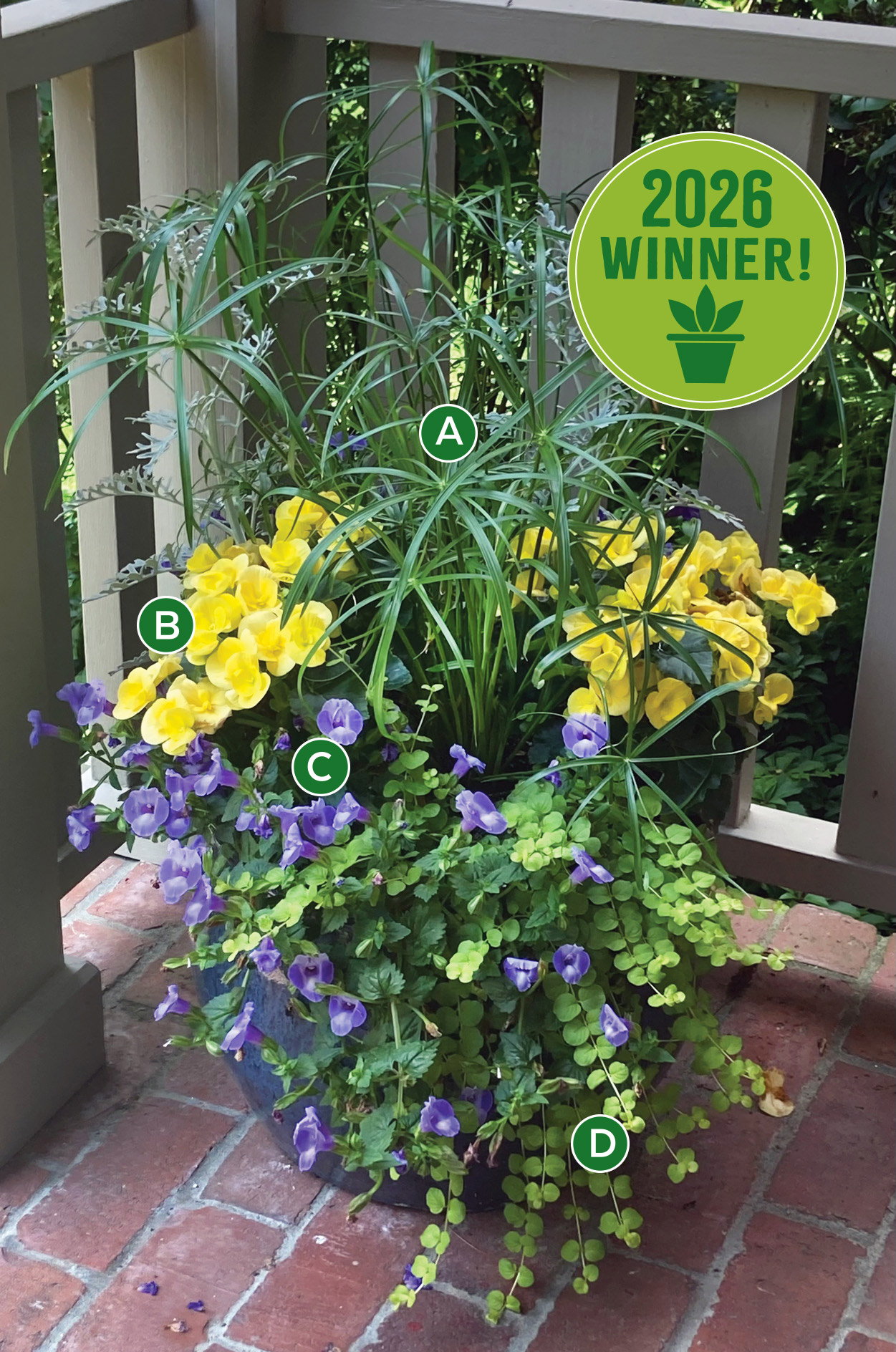 2026 Container Challenge Winner Kelly Stankelis Lettered badge