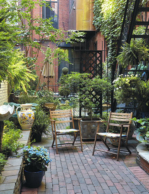 Casual seating in an Urban garden courtyard: This Japanese maple growing in a container along with the lattice trellis creates a sense of separation in this small space.