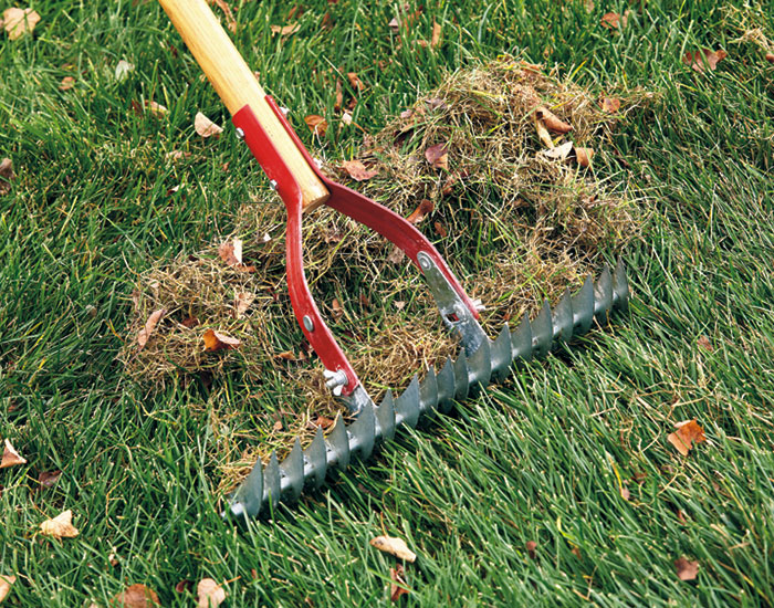 find-the-right-rake-thatch-rake: Thatch rakes remove accumulated lawn debris to keep your turf healthy.