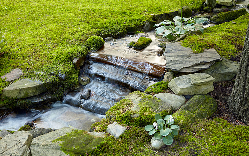 Moss-garden-water-feature2