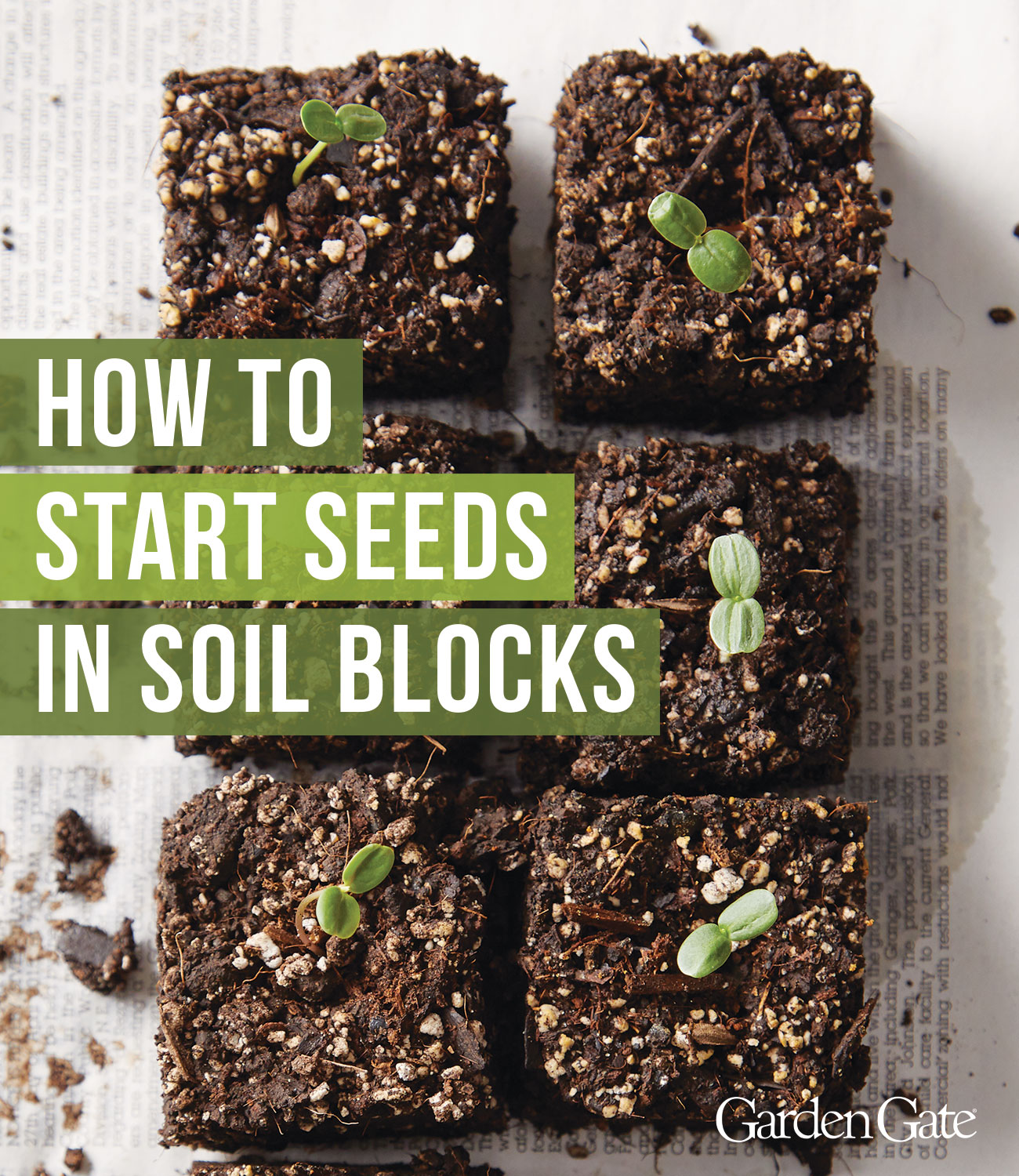 Seed starting in soil blocks Pinterest graphic Garden Gate magazine