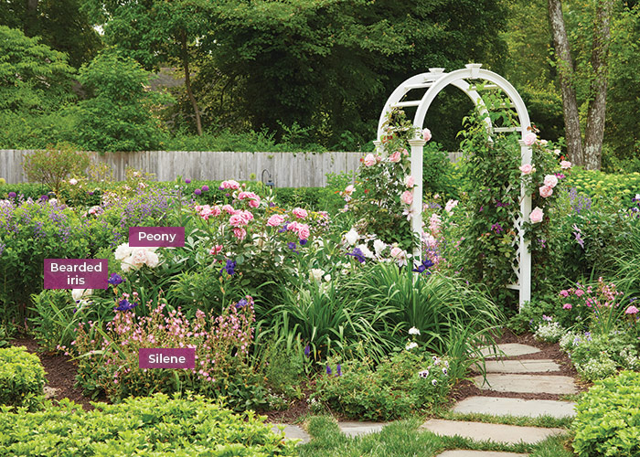 Heather Thomas spring garden bed with peony, bearded iris and silene: In spring, peony, bearded iris and silene take center stage in this colorful flower border.