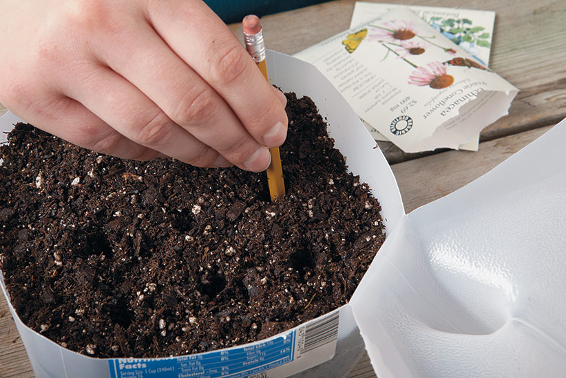 ht-ss-milk-jug-4: Add premoistened potting mix to your milk jug before sowing seeds.