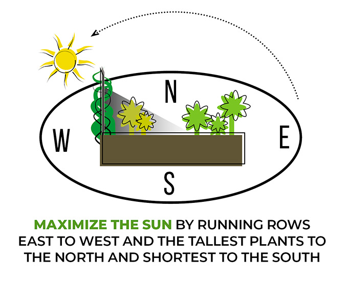Graphic of planting garden bed to maximize sunlight: Maximizing the amount of sunlight your beds get every day is important to a productive vegetable garden.