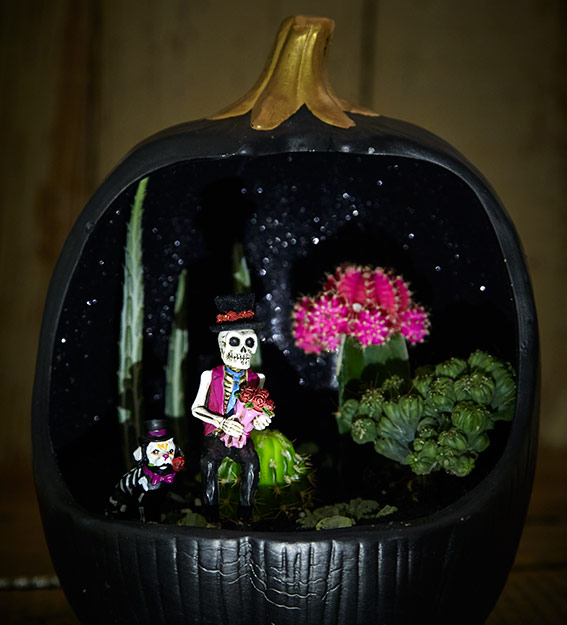 Pumpkin-terarrium-lead-spooky: Find a unique container like this black pumpkin to build a festive Halloween terrarium!
