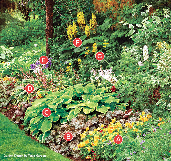 Shade Garden Combination by Tera's garden with letter labels: Bright yellow flowers from ligularia add punctuation at the back of this shade garden border.
