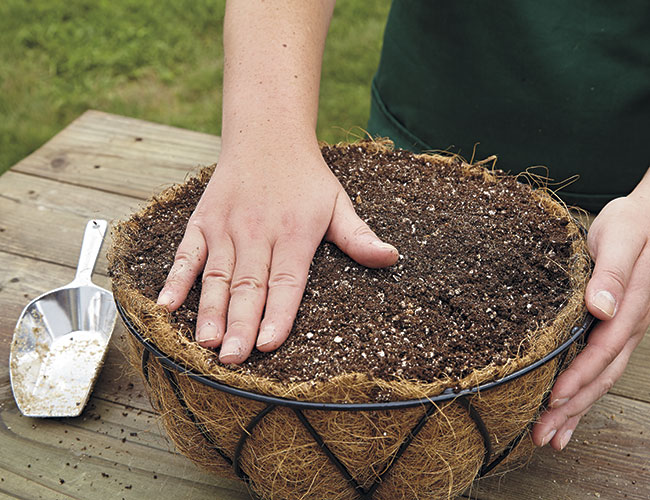 adding-soil-to-basket: Add as much potting mix as the basket will hold, clear to the top of the basket rim.
