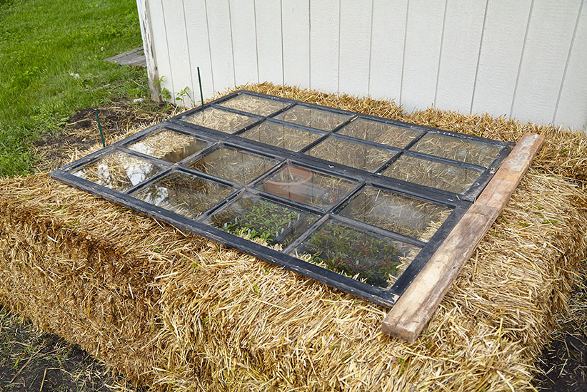 diy-cold-frames-straw-bales-photo: You may need to start with the windows closed to keep temperatures inside the cold frame in the perfect range.