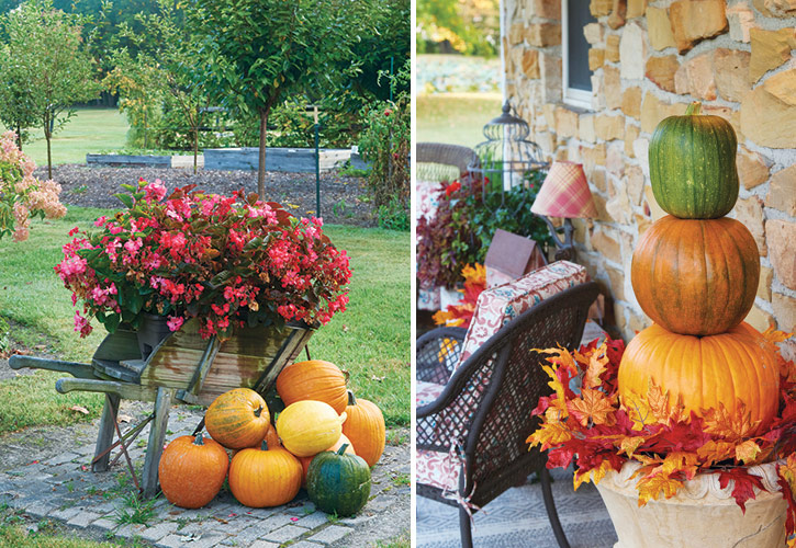pumpkin decor and pumpkin topiary by Rachel Light: Create a pumpkin topiary or accent an upcycled planter with a pile of pumpkins for fall interest.