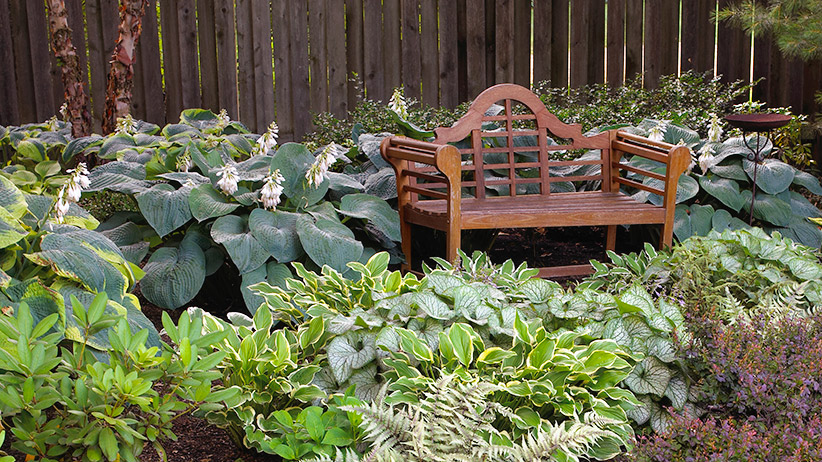 Best shade plants: Growing shade-tolerant plants around this bench turns what could be a dull unappealing spot into a welcoming destination filled with color and texture.
