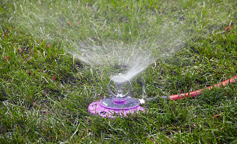 watering-tips-sprinkler: When you have a large area to water, a sprinkler can help. But be sure to use it at the right time of day or the water will be wasted.