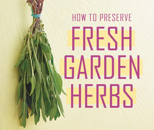 How to Preserve fresh garden herbs header: Hanging bundles of herbs to air dry is an easy way to preserve them for later.