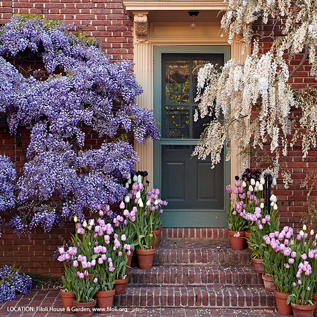 6-ways-to-create-a-beautiful-spring-garden-pastel-color-palette: Point the way with pots of tulips lining the steps. Stick with one or two colors that coordinate with the house trim or foundation planting for a coordinated look. 
