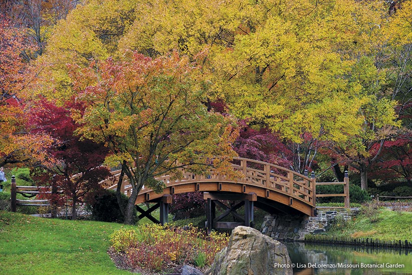 bridge with fall foliage: After a summer of subtle shades of green, fall foliage bursts into view.