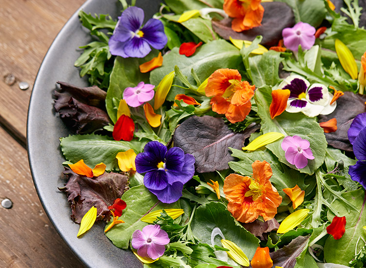 Beautiful salad with edible flowers: Edible flowers like the phlox, nasturtium, pansies and marigold petals are a beautiful addition to a simple salad.