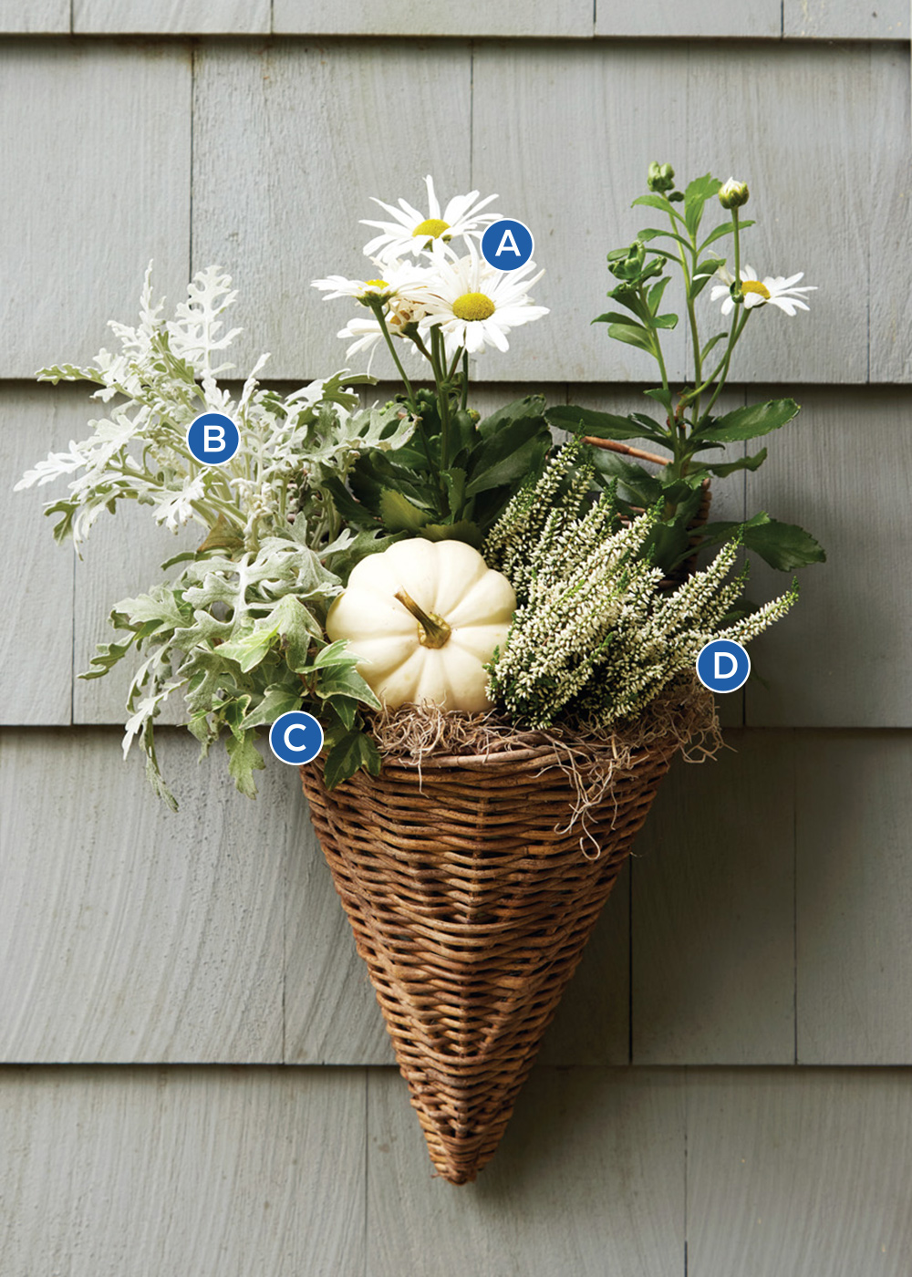 GG188 wicker-planter-with-white-and-silver-plants-labelled: Utilize extra plants for smaller accents like this charming upcycled wicker sconce that Susan thrifted.