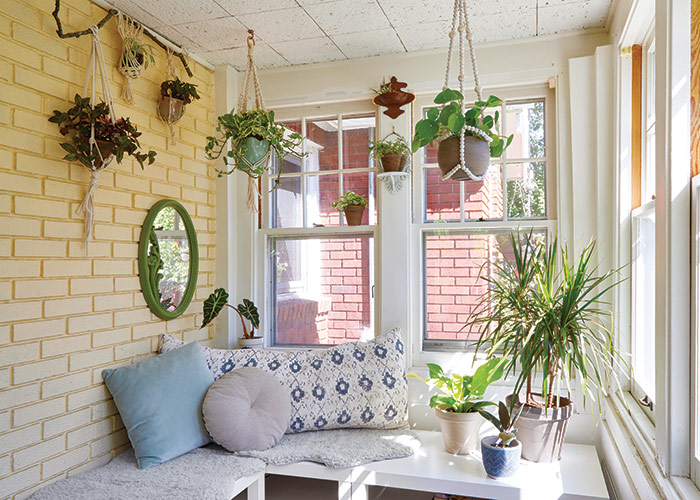Decorating with houseplants in a sunroom: This sun room has areas of direct sunlight in front of the east-facing windows on the right and dims to medium light near the brick wall.