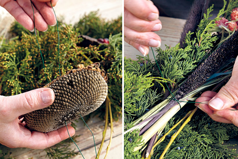 bird-feeding-wreath-sunflowerhead cattail step1: Using florist wire, attach seedheads and millet sprays to your wreath.