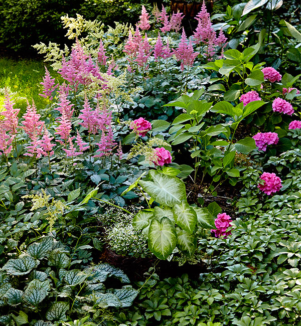 shade loving plant combinations for garden border subtle pink and greens: This shade border has a lush variety of foliage and bright blooms.