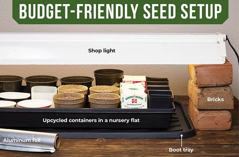 Budget-friendly affordable seed starting setup:Save money on your seed-starting setup by upcycling and using items you might already have around your home.