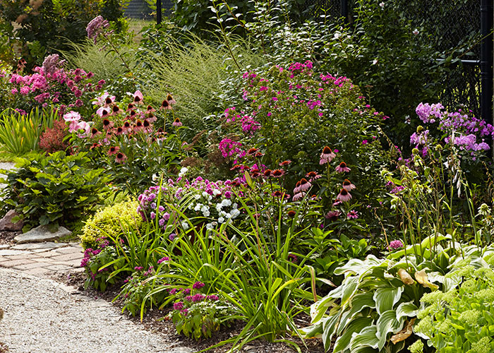 summer-garden-checklist-lead: Keep your beds and borders looking great this season with our summer garden checklist.