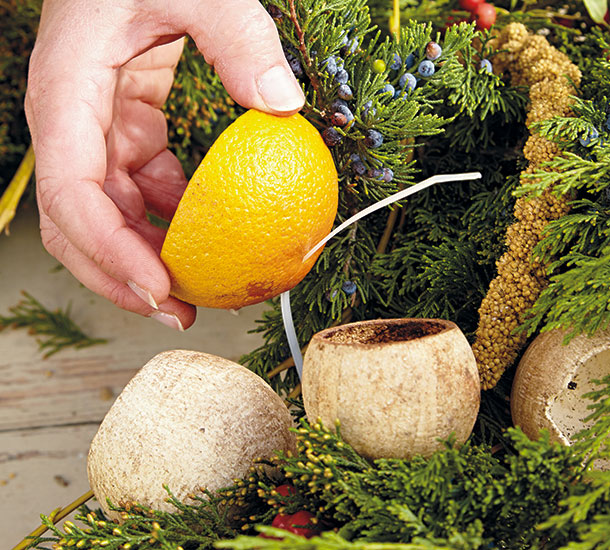 bird-feeding-wreath-oranges step4: Plastic cable ties make attaching oranges to your wreath quick & easy.