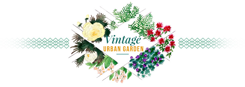 Vintage Urban garden logo and pin line