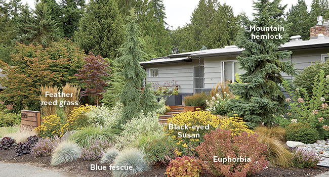 multi-season-interest-front-yard: Mix up plant shapes - upright, mounding, draping - for a dynamic look.