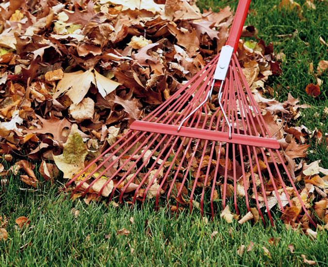 find-the-right-rake-metal-rake: Look for a metal leaf rake with a stress distribution bar to help keep tines from twisting.