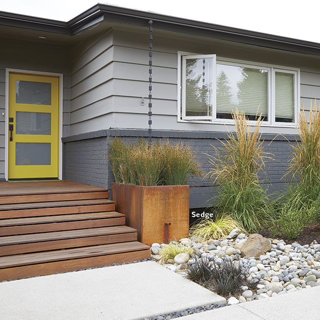 water-drainage-front-entry: Grow watering-loving plants, such as sedge, near the downspout.