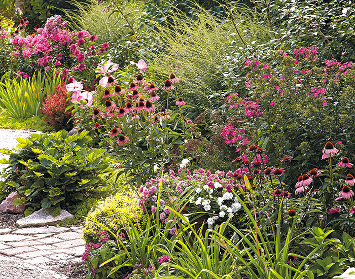 Mixing pastel pink with red-toned pink flowers: This planting contains both the saturated red-toned pinks and the lighter pastel pinks. 