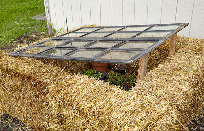 diy-cold-frames-raise-frame: All plants are tender when they’ve been growing indoors. Help them harden off by using a cold frame.