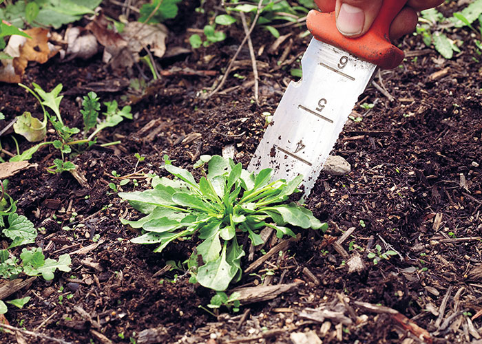 summer-garden-checklist-pull-weedsl: When pulling weeds, don’t leave roots behind. If you yank only the leaves, weeds will grow back.