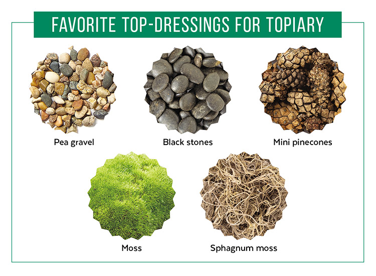 Topiary top dressing materials