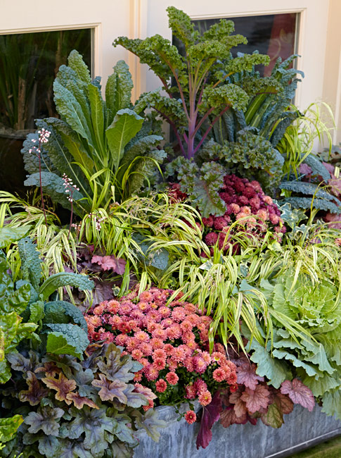 mums-kale-fall-container-vertical: You want a mature, and full, look right away, so choose plants that are the sizes you need and pack them in.