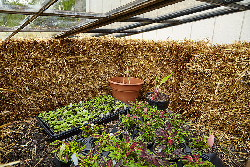 diy-cold-frames-lead: All plants are tender when they’ve been growing indoors. Help them harden off by using a cold frame.