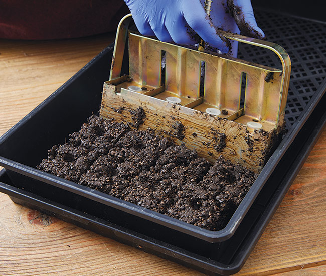 Releasing soil blocks from soil blocker into a tray: Leave a  
¼-inch gap between rows of blocks when placing into the tray.
