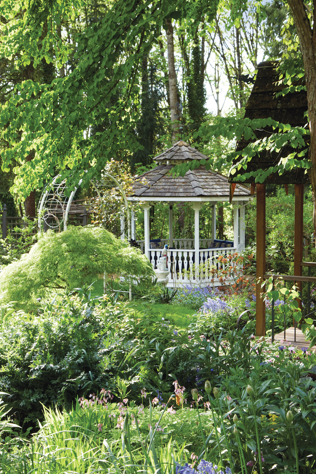GG186 FG Staunton Gazebo: Because of its location high above the Fraser River, there is often
a cooling breeze in the gazebo. The overhanging leaves are from a katsura tree, a gift from a
friend, which when planted was shoulder height and is now 30 feet tall!