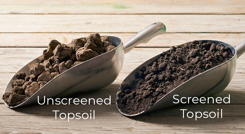 Screened vs. unscreened topsoil in soil scoops: Here you can see the difference between screened and unscreened topsoil.