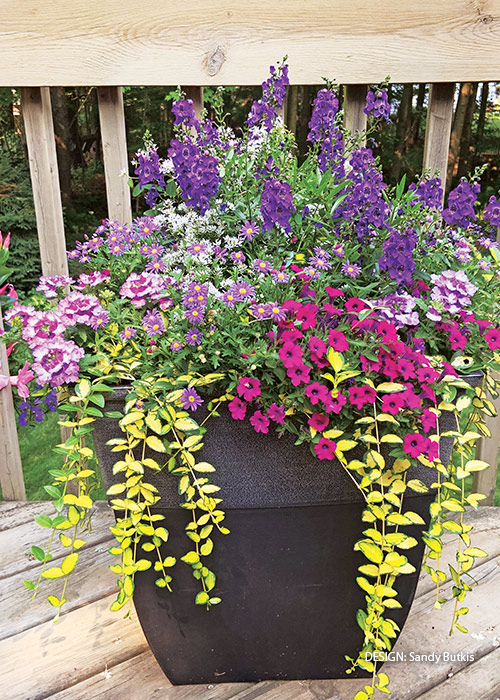 Sandy Butkis container challenge entry: Stick with one color in a range of shades to create lots of interest with a cohesive container design.