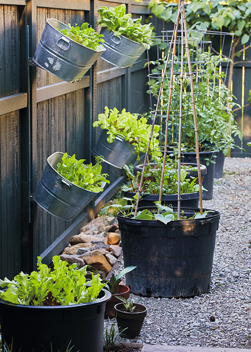 Plastic pots and galvanized tubs make great small space planters:A mix of different plastic and galvanized containers adds to the planting space in this garden
