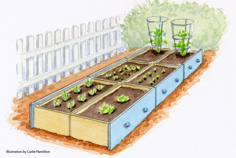Illustration of dresser drawers repurposed as raised garden beds: Use old dresser drawers to make raised garden beds.