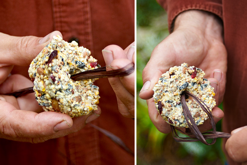 Add a ribbon to the finished birdseed ornaments so they can be hung: Add a ribbon or raffia to your finished ornaments so you can hang them up for the birds.