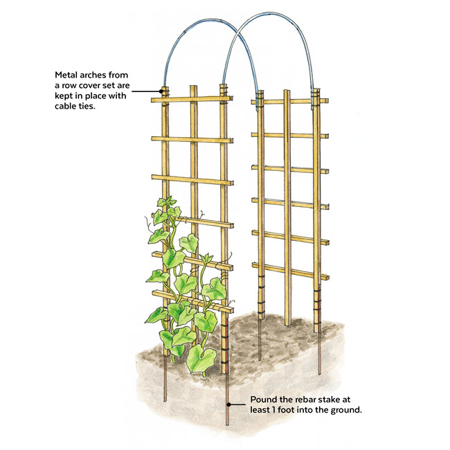 DIY Garden Arbor: Grow an ornamental vine, such as morning glory (Ipomoea purpurea) or a favorite vegetable, such as cucumber on this DIY arbor.